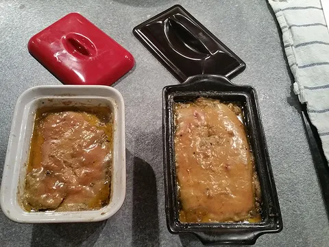 Terrine de foie gras au micro-ondes